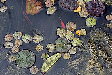 开刷！《暗黑破坏神4》S10赛季现已上线 “命运之拳”成必用混沌暗金